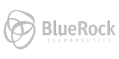 BlueRock Therapeutics Logo Black and White