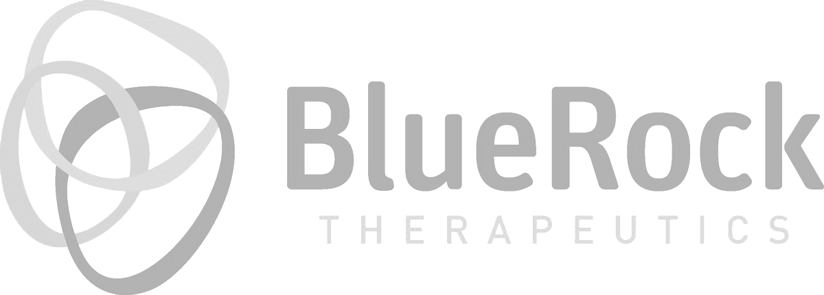 BlueRock Logo