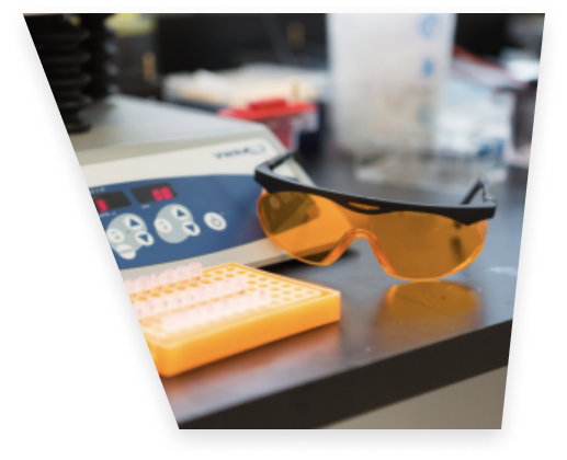 Glasses and lab equipment