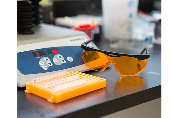 Lab goggles and equipment 